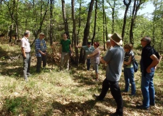 Accompagner les propriétaires forestiers vers une gestion durable de la forêt