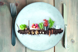  Agriculture et alimentation : quel modèle d'ici trente ans ?