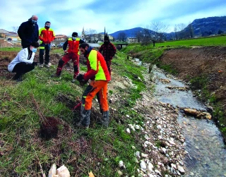 1 500 arbres pour restaurer  la biodiversité du Guimand