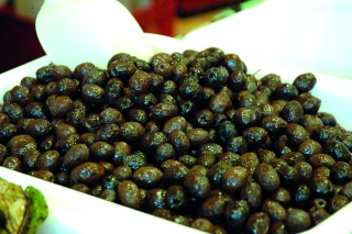 Olives de Nyons : aléas climatiques et dalmaticose