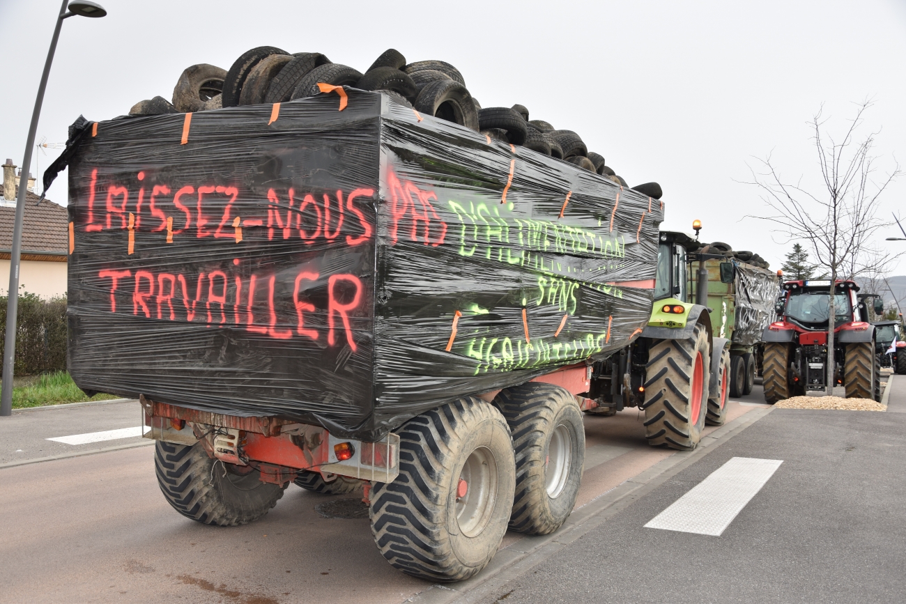 Menus sans viande à Lyon : levée de boucliers de la profession agricole