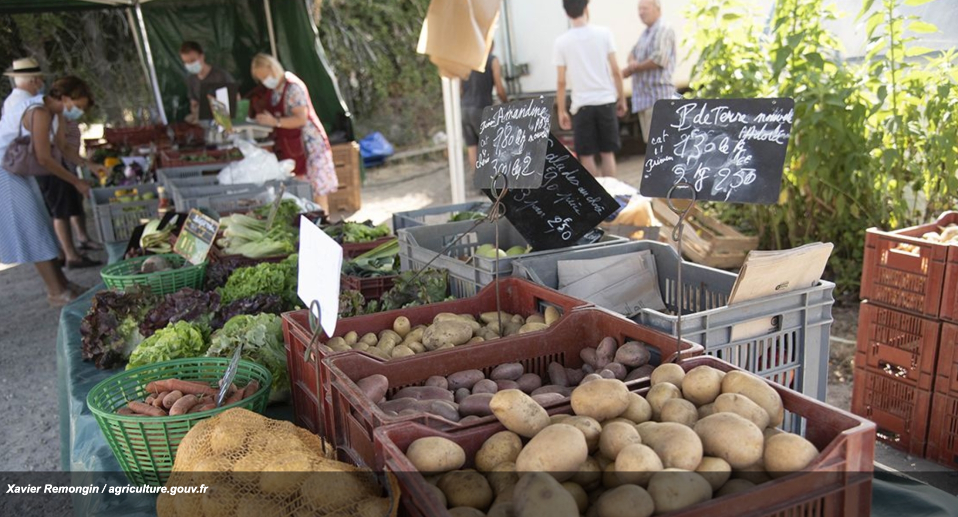 Plan de relance agricole  : ouverture du dispositif  « alimentation locale et solidaire »