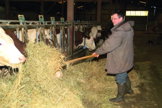 Bien préparer la mise à l’herbe pour réussir cette étape décisive
