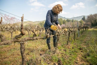 Agricultrices en Drôme :  un art de vivre