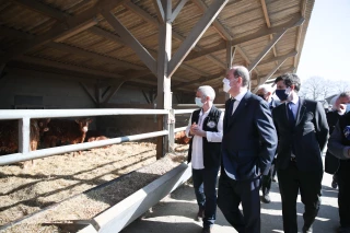 60 millions d’euros pour les éleveurs