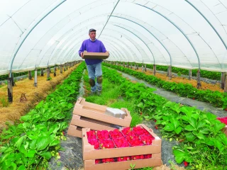 Convention collective agricole : ce qui va changer au 1er avril  