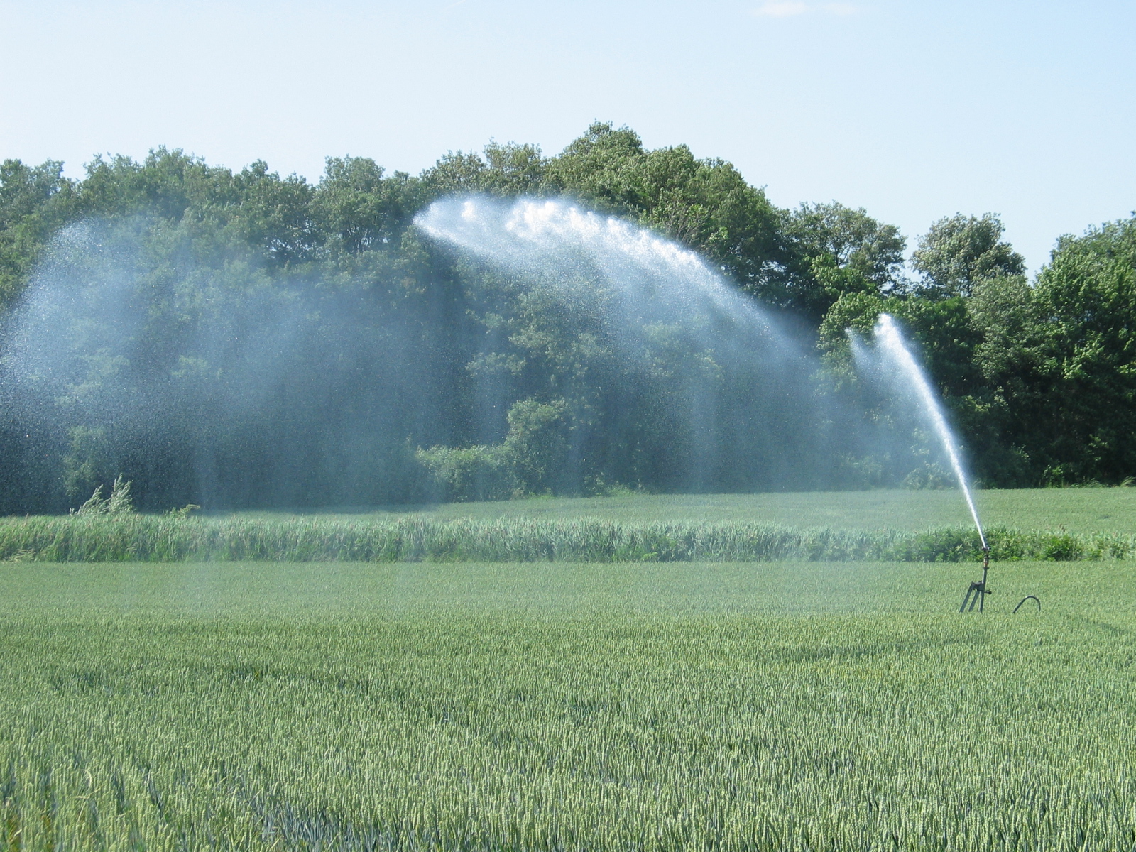 Irrigation : «  Avoir  un droit d’eau n’est pas  un simple papier »
