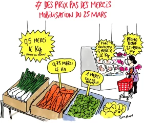 Le dessin de la semaine 12