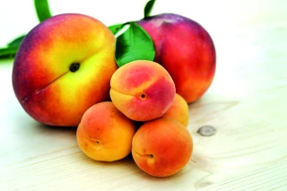 Pêches et abricots : deux à trois ans pour une barquette 1 kg première gamme