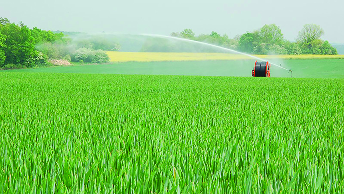 Irrigation des céréales : les conseils de saison