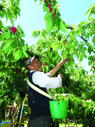 La FNSEA soutient  la pérennisation du TODE