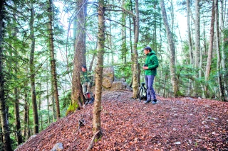 Le Parc et l’ONF partenaires  pour un développement durable de la forêt
