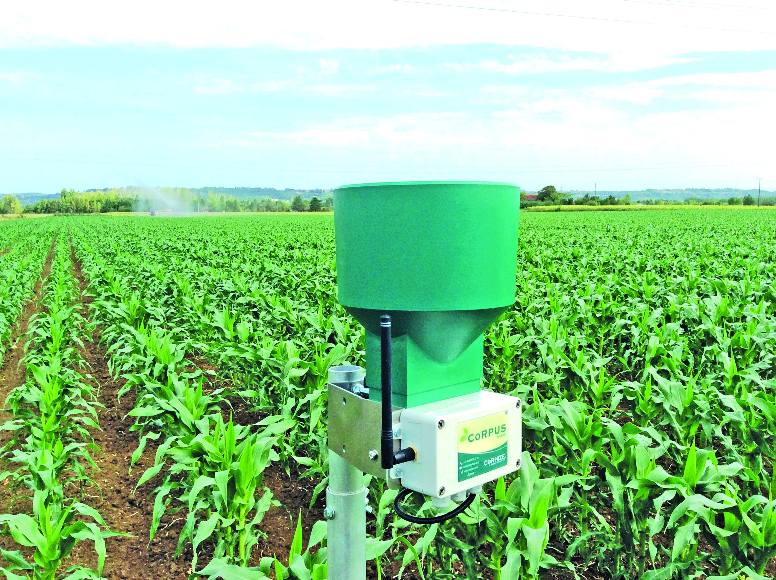 Le pluviomètre est le meilleur allié de la sonde