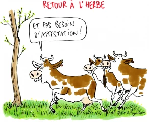 Le dessin de la semaine 14