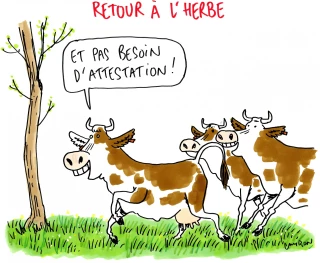 Le dessin de la semaine 14