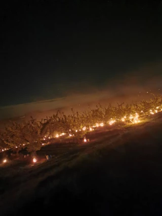 Gel : encore une nuit d'angoisse pour les arboriculteurs