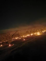 Gel : encore une nuit d'angoisse pour les arboriculteurs