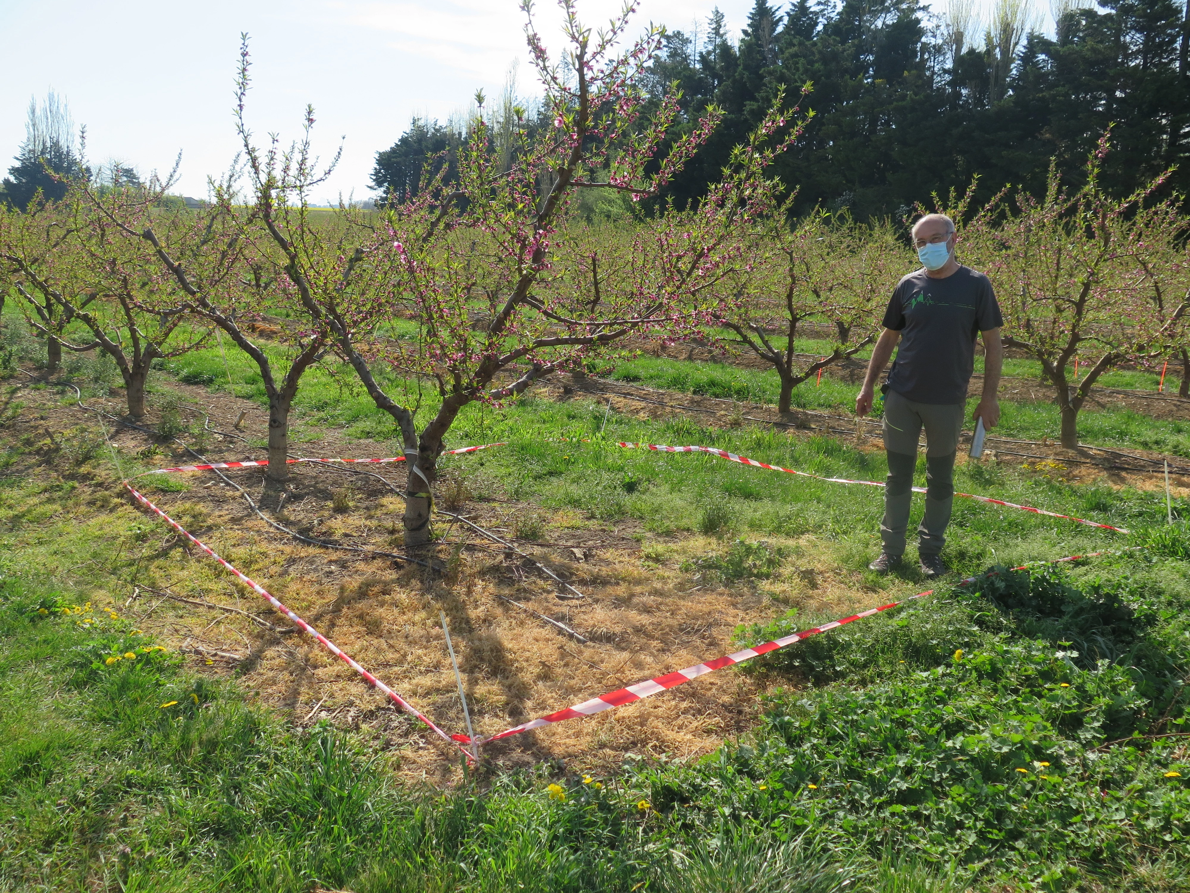 Observations du campagnol : une zone pilote à Etoile-sur-Rhône