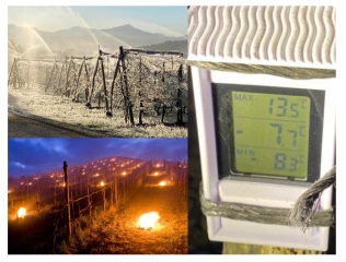 Le gel a dévasté une partie des productions agricoles françaises