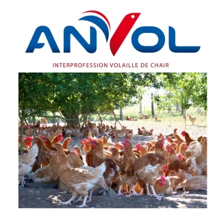 Anvol en lutte contre les végans