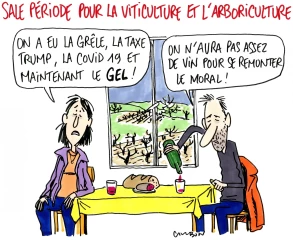 Le dessin de la semaine 15