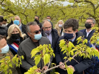 Gel : le ministre de l’Agriculture promet des aides sous trois mois