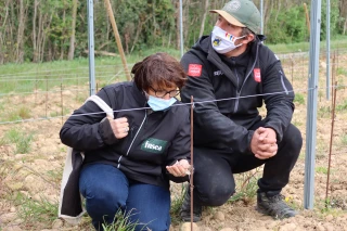 Gel du 8 avril : la présidente de la FNSEA à Livron-sur-Drôme
