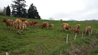 Herbe : la pluie n’a pas résorbé le déficit