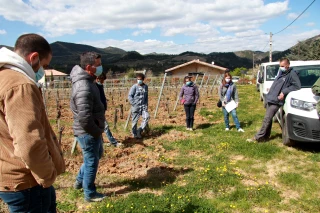 Au domaine Raspail : première plantation résistante au mildiou et à l’oïdium