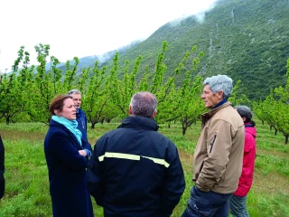Des armes pour lutter contre la fatalité des gels