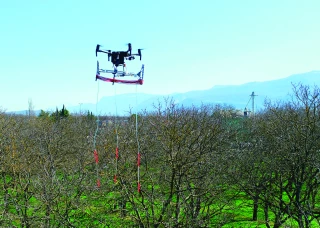 Le Pherodrone, une solution  pour faciliter le biocontrôle en verger