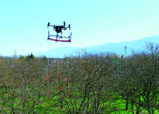 Le Pherodrone, une solution  pour faciliter le biocontrôle en verger