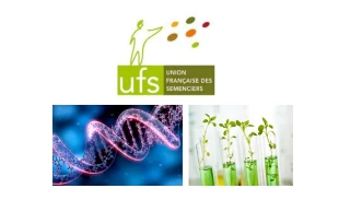 Semences : les NBT bientôt différenciées des OGM ?