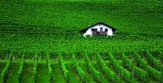 La Suisse organise un référendum sur l’interdiction des pesticides
