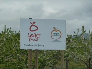 Vergers écoresponsables - « Demain se récolte déjà ici »