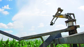 Bien gérer l’irrigation du maïs