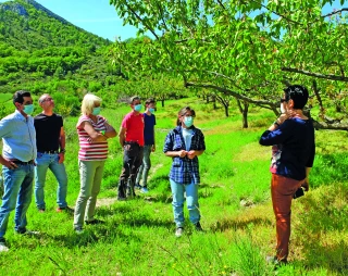 Les dégâts du gel évalués dans le Sud-Drôme