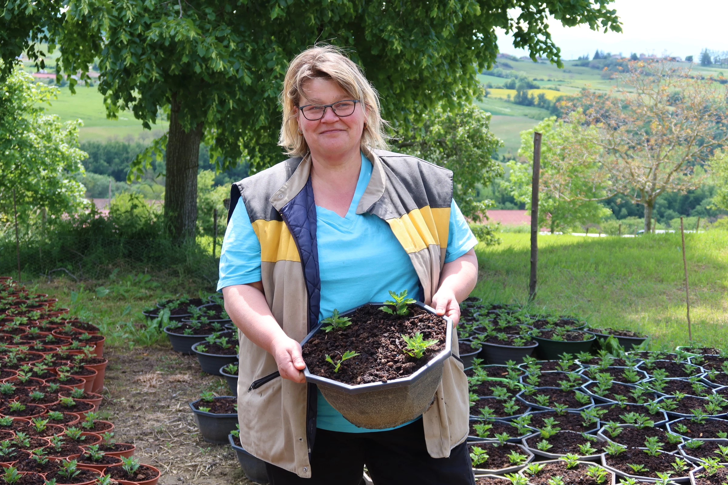 Des chrysanthèmes pour financer un mi-temps salarié