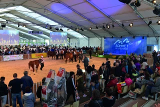 Sommet de l’élevage : l’édition 2021 maintenue  avec pass sanitaire