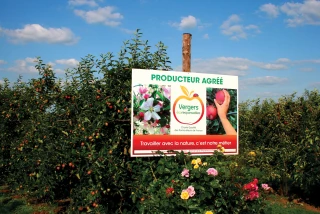 Les vergers écoreponsables  engagés pour les pollinisateurs