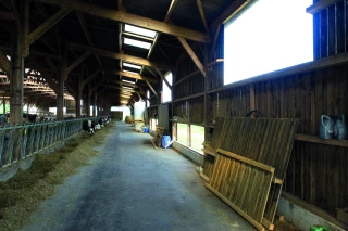 Aménagements des bâtiments d’élevage : s’appuyer en priorité sur l’existant