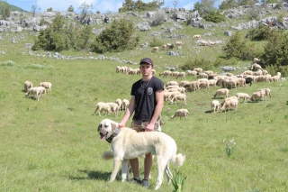 Jeune éleveur sur le Vercors : la vente directe pour s’en sortir