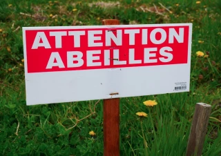 L’arrêté abeille « condamne » le verger français