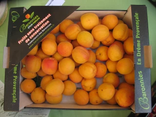 Nouvelle étape vers l’IGP pour l’abricot des Baronnies