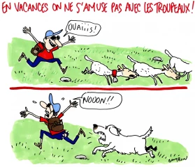 Le dessin de la semaine 30