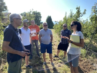 Gel d'avril : les pertes évaluées dans treize exploitations