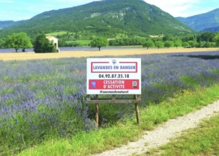 Lavandes en danger : Didier-Claude Blanc écrit à deux députés européens