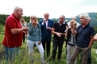 Huiles essentielles : mobilisation politique pour protéger la filière lavande