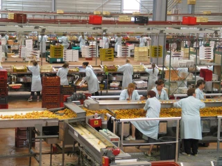 Gel 2021 : ouverture de l'aide pour les entreprises de l'aval