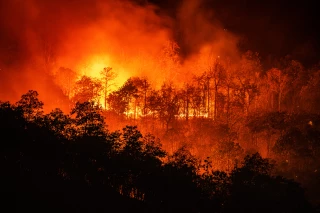 Le Sud de la France frappé par de graves incendies